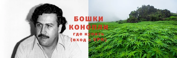 сатива Нягань