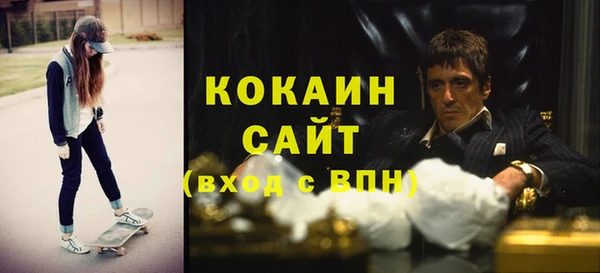 твердый Няндома