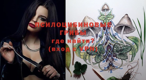 твердый Няндома