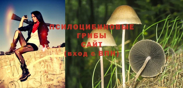 дурь Болхов