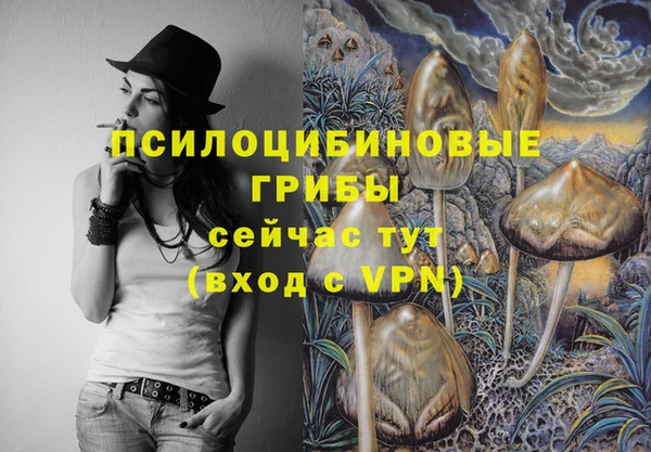 твердый Няндома