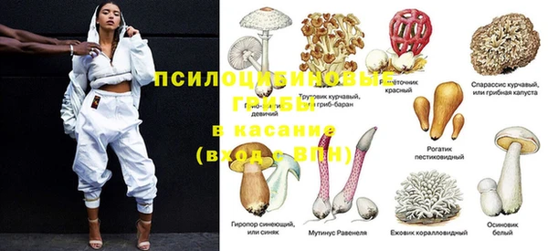 сатива Нягань