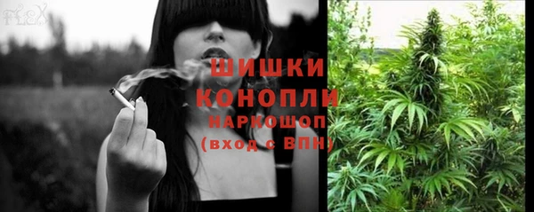 сатива Нягань