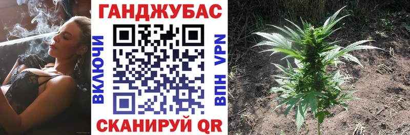 наркотики  Торопец  Бошки Шишки индика 
